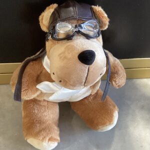 Variation #7001 of Junior the Aviator Bear